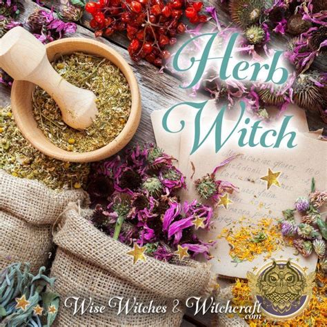 The herbal witch